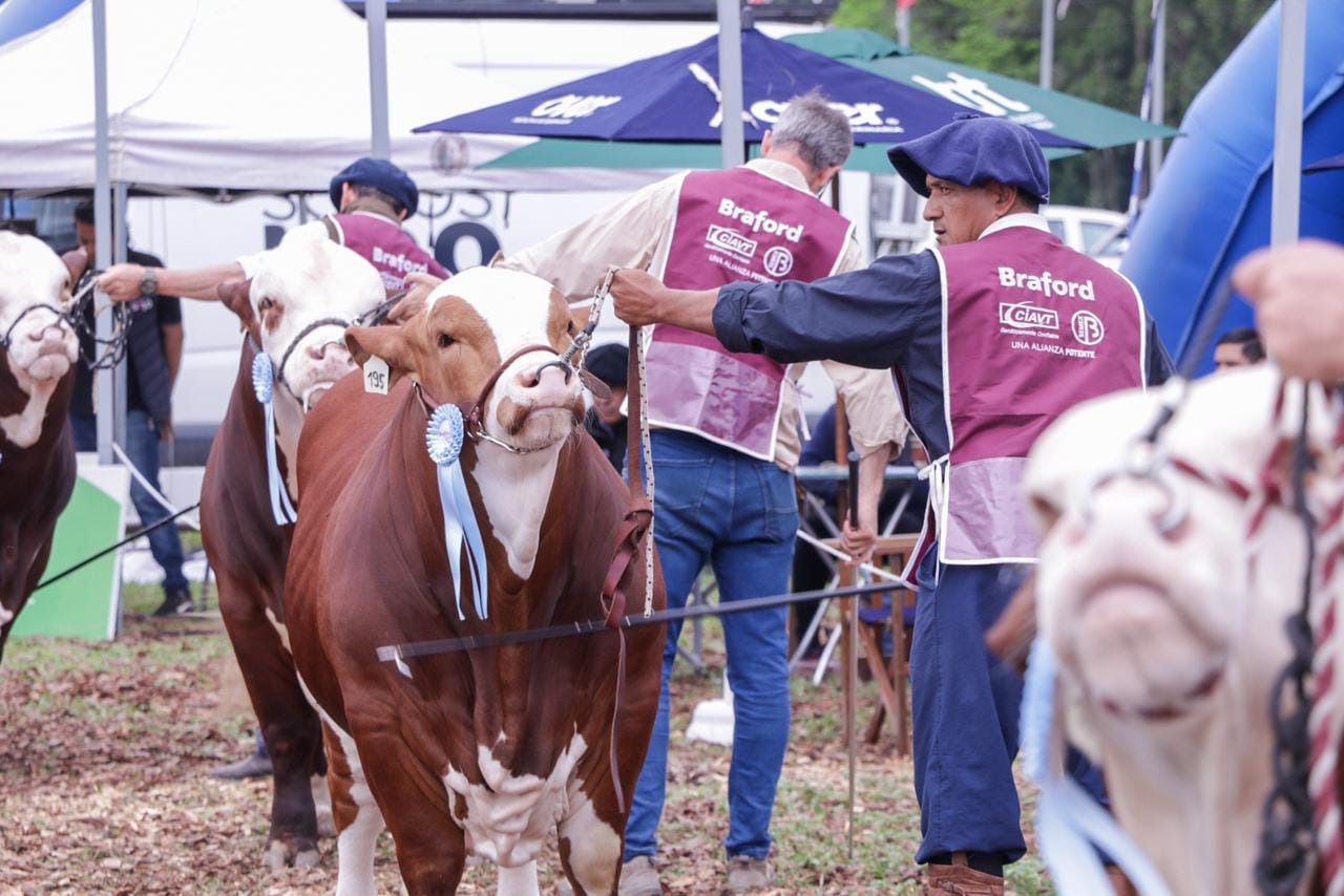 Margarita Belén: concluyó con éxito la Primera Edición Expo Primavera de Braford