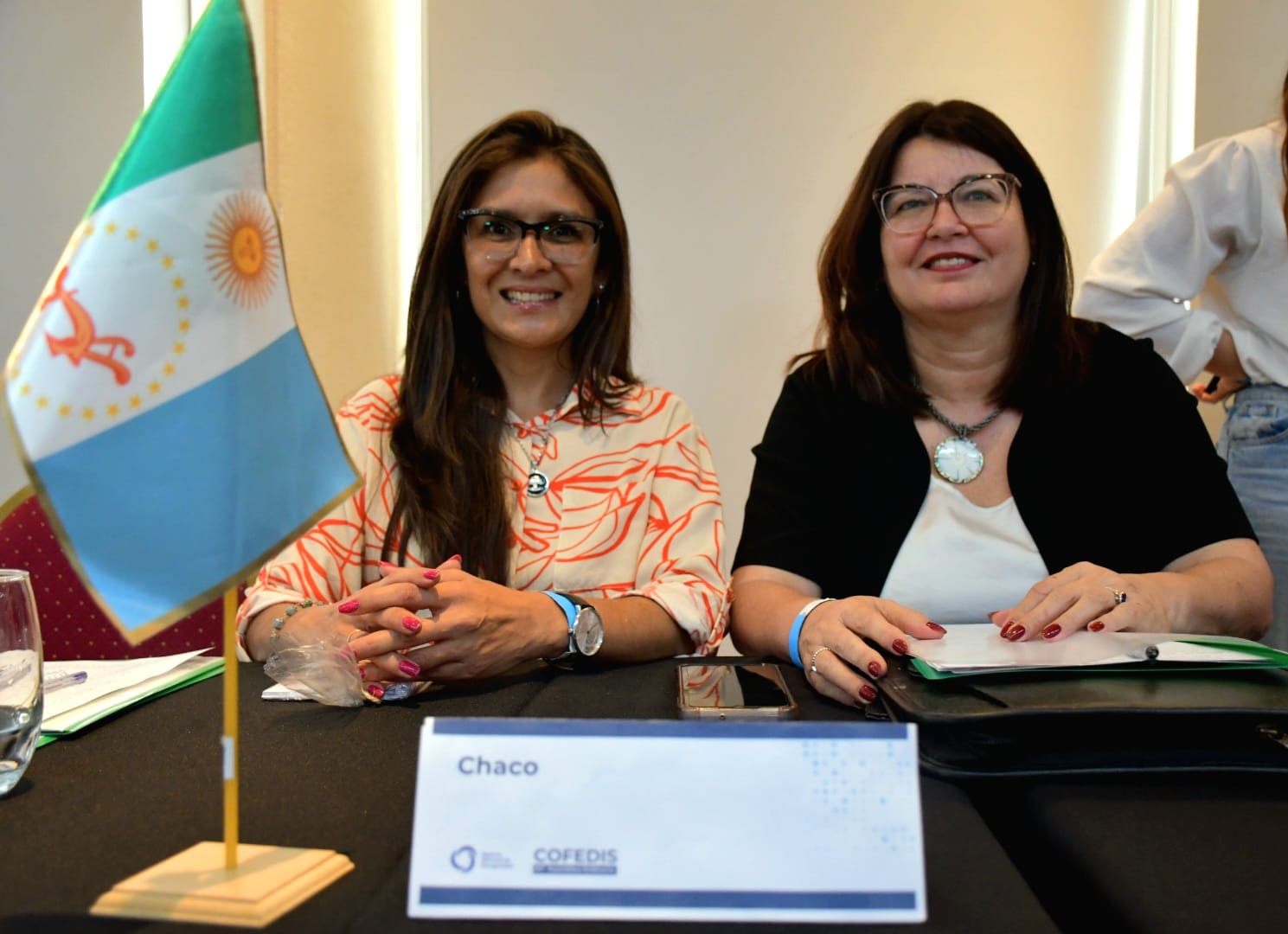 IPRODICH: «No está en riesgo la vigencia de los pases libres en el transporte para personas con discapacidad»