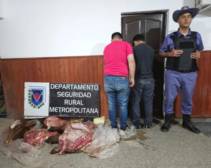 Más de 80 kilos de carne vacuna transportadas ilegalmente
