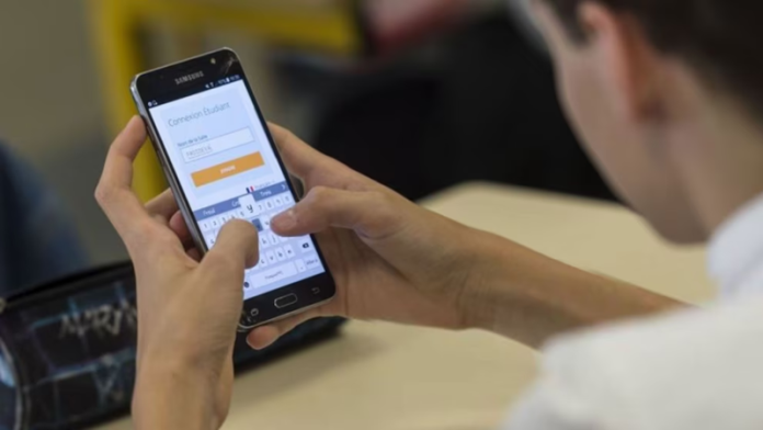 Transferencias entre cuentas propias: lo que no se debe hacer para evitar problemas con la AFIP