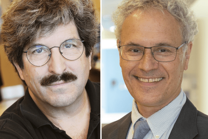 Los estadounidenses Victor Ambros y Gary Ruvkun ganaron el premio Nobel de Medicina 2024