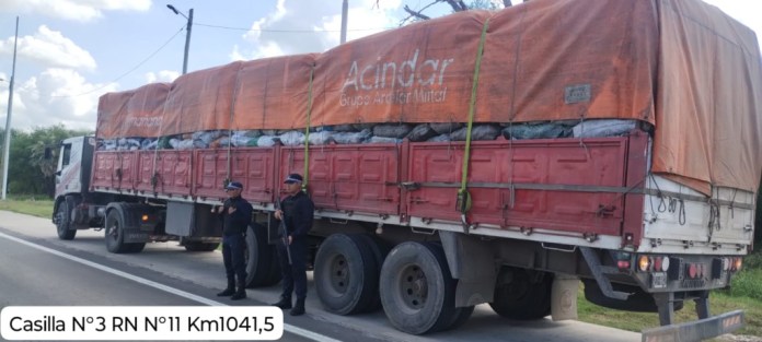 La Caminera intervino carga forestal y secuestró vehículos adulterados
