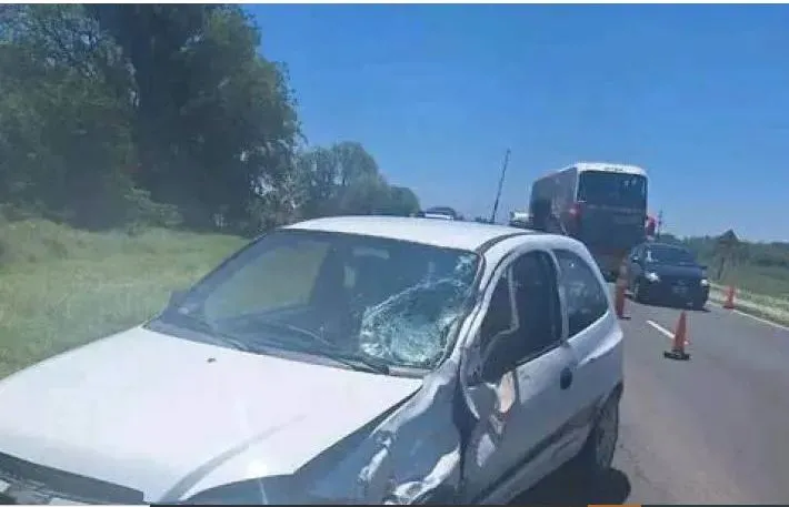 Siniestro vial fatal en la ruta 12 involucra a una conductora saenzpeñense