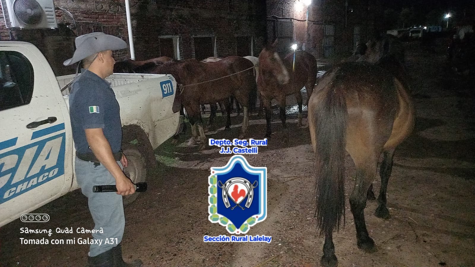 Tres Isletas – Secuestran 8 animales que se encontraban en la vía pública