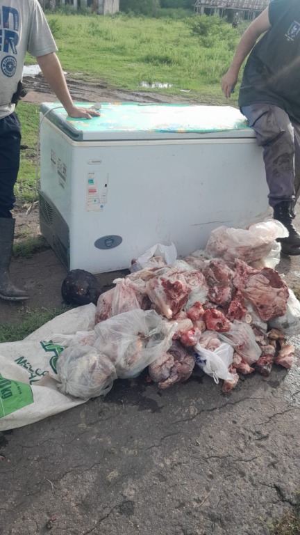 Secuestran 400 kilos de carne en allanamiento por supuesto abigeato