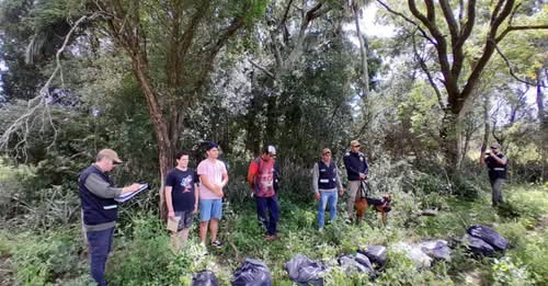 Allanamiento en La Leonesa desbarata a una organización narco-criminal trasnacional: secuestran más de 92 kilos de marihuana y armas