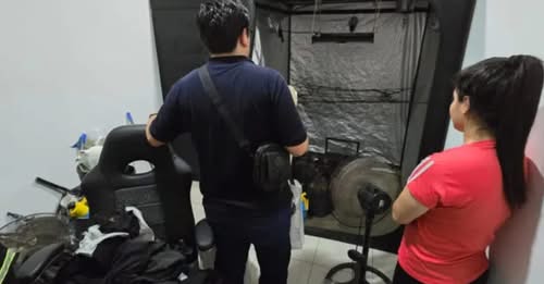 En un operativo antidrogas, se incautaron marihuana, LSD, éxtasis y más de un millón de pesos en efectivo