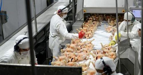 La principal avícola del país se declaró en crisis y busca reducir salarios o despedir 700 empleados