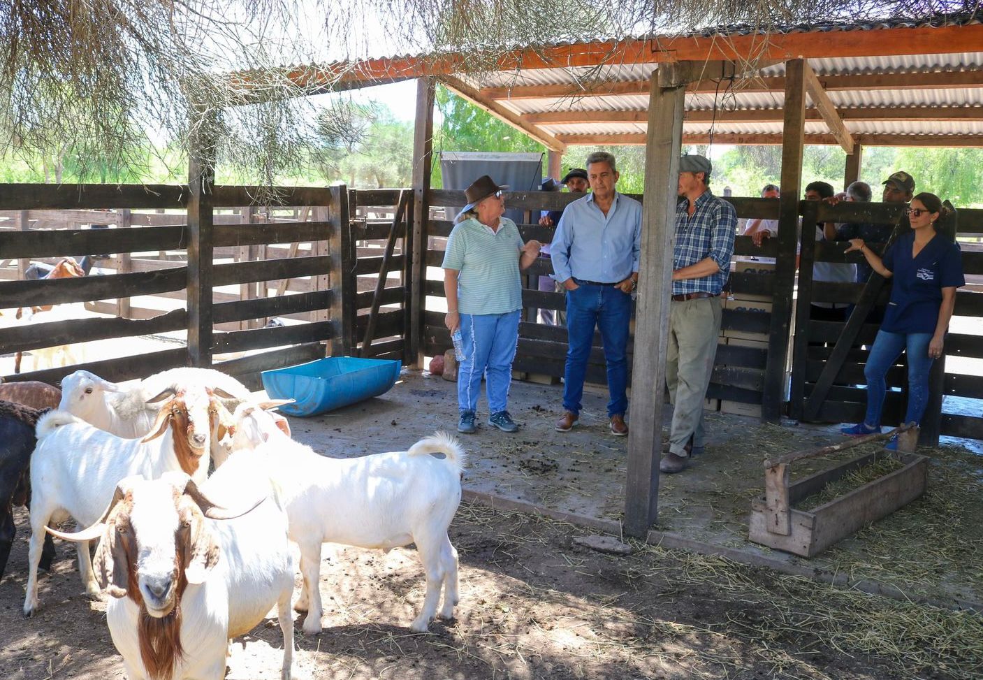 El Espinillo: El Gobierno Provincial reactiva el progano con gran presencia en el territorio