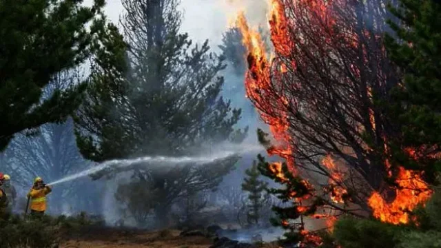 «Estamos en ese 5% que no»: desde Parques Nacionales revelan cómo se inició el incendio en el Nahuel Huapi