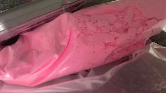 Punta del Este: detuvieron a 12 argentinos acusados de vender “tusi”, éxtasis y marihuana en los balnearios