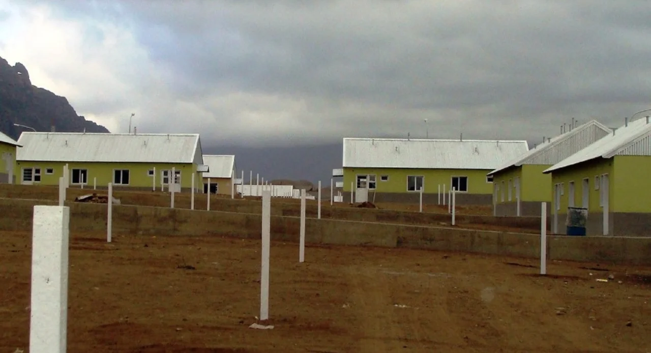 Crueldad animal en Bariloche: torturaron y enterraron viva a una perra perdida