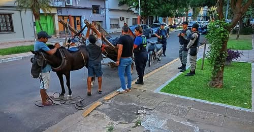 Rescataron a un caballo y decomisaron el carro que tiraba, tras accidente vial