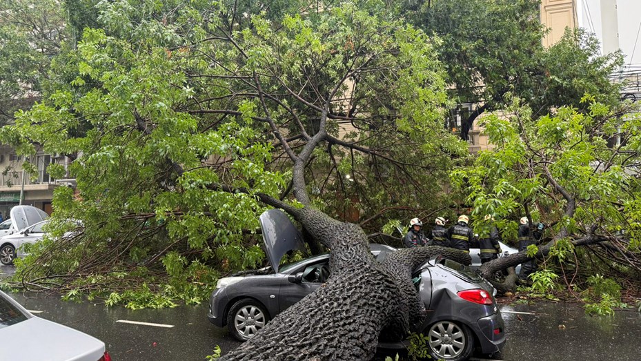 Almagro: un árbol cayó durante el temporal, aplastó varios autos y hay cuatro heridos