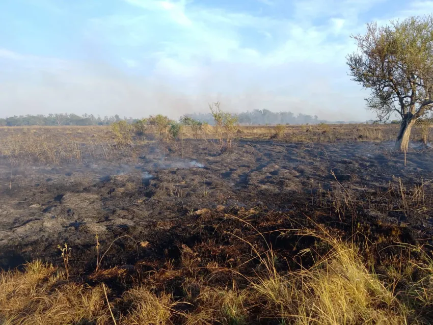 Incendios en Corrientes: «Ayer vivimos la jornada más compleja… fue un infierno», sostuvo el coordinador del operativo