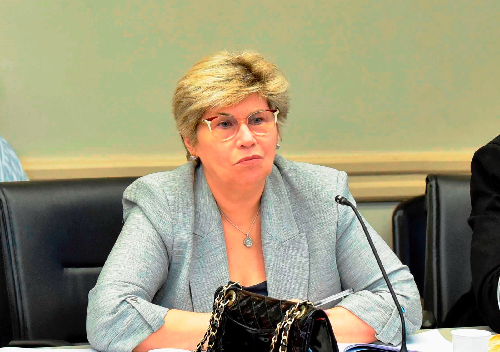 De cara al inicio del ciclo lectivo: Naidenoff ratifico la política educativa