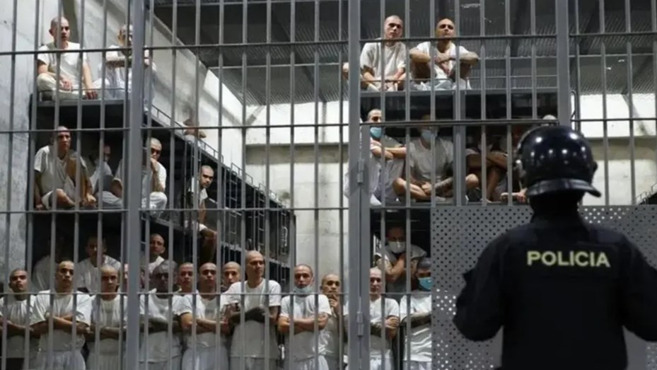 Bukele ofreció sus cárceles para extranjeros ilegales en Estados Unidos que sean criminales