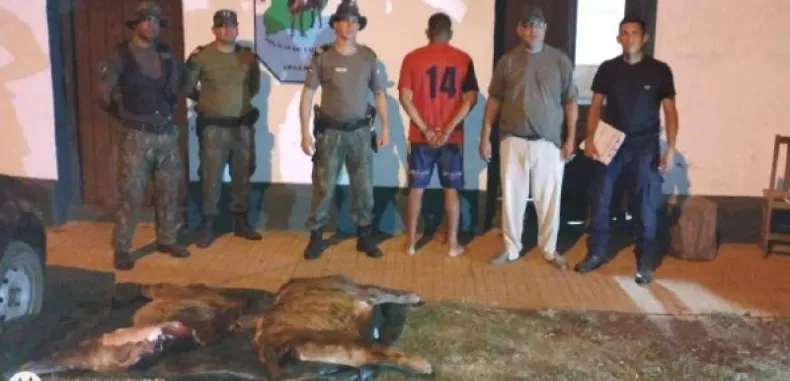 Lo detienen con un ternero faenado escondido en el baúl del auto