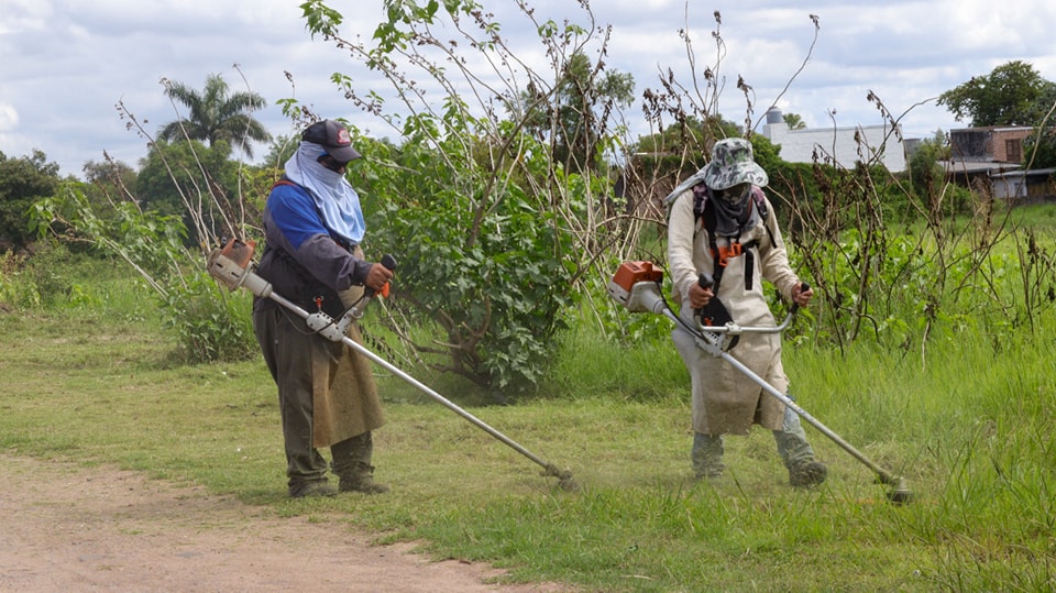 Barranqueras: mantenimiento de espacios verdes en la calle Miguel Cané y zona de la laguna