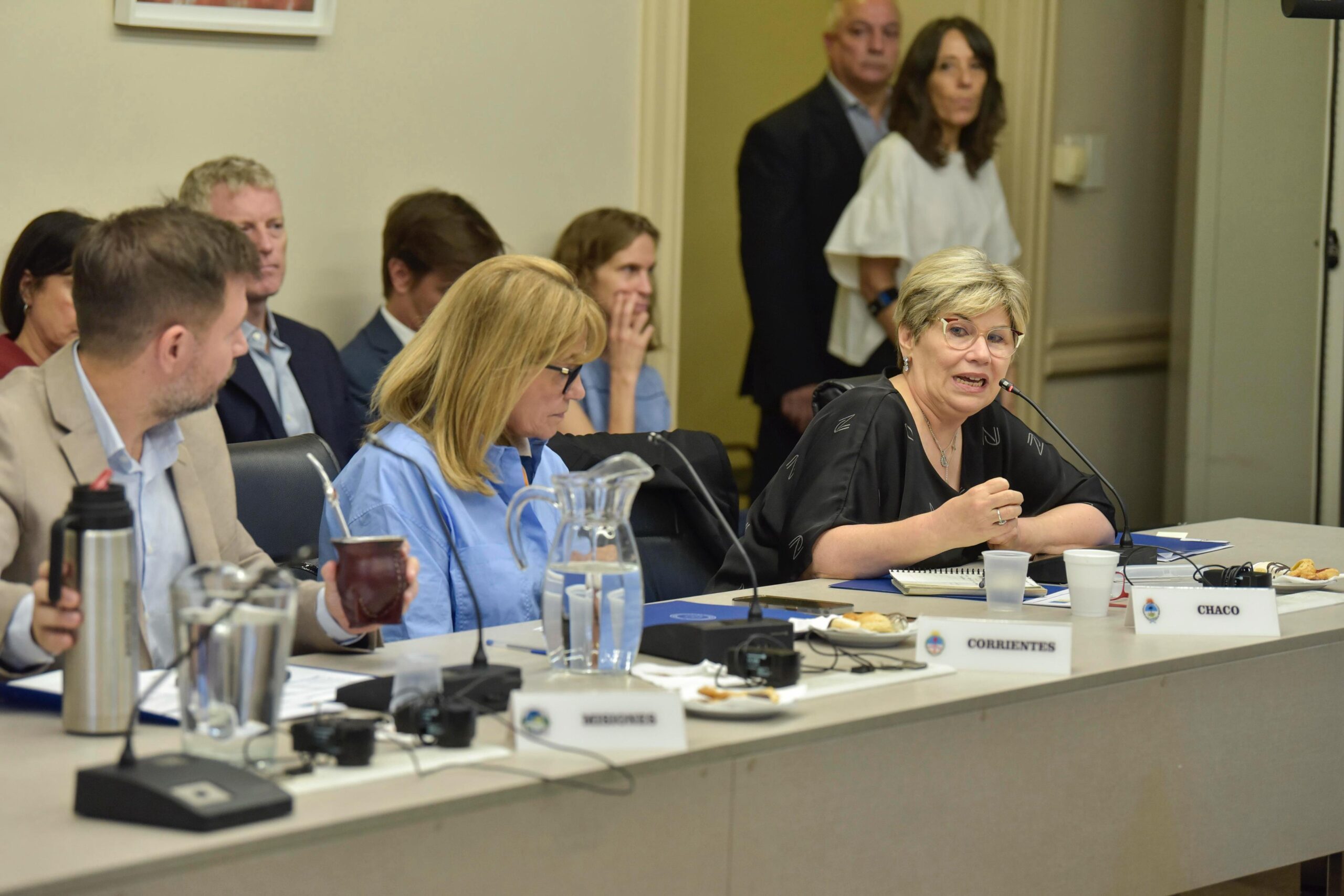 Chaco presente en el Consejo Federal de Educación: las jurisdicciones  avanzan en los planes de alfabetización y evaluación de aprendizajes