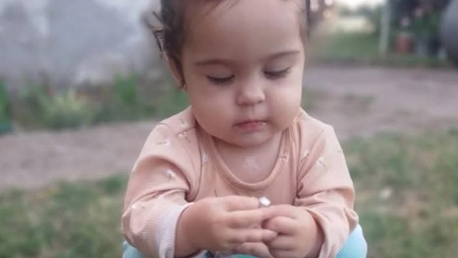 Caso Delfina Hecker: analizarán restos biológicos encontrados