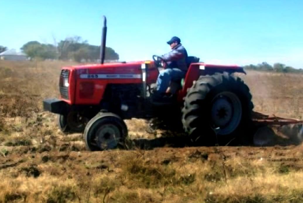 Algodón: el Gobierno informa que están disponibles los fondos para la destrucción de rastrojos