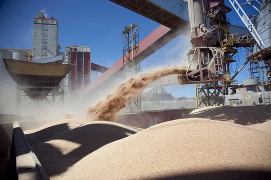 Aceiteras y cerealeras advirtieron que las medidas de Trump desatarán una «guerra comercial»
