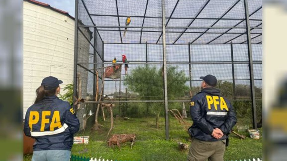 Rescataron de un zoológico clandestino a animales en cautiverio