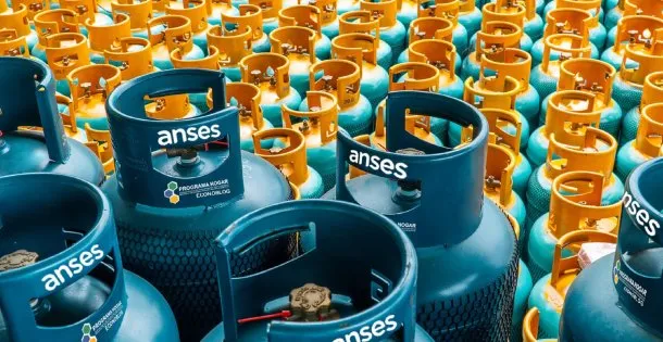 ANSES: cómo acceder al Programa Hogar en mayo 2025
