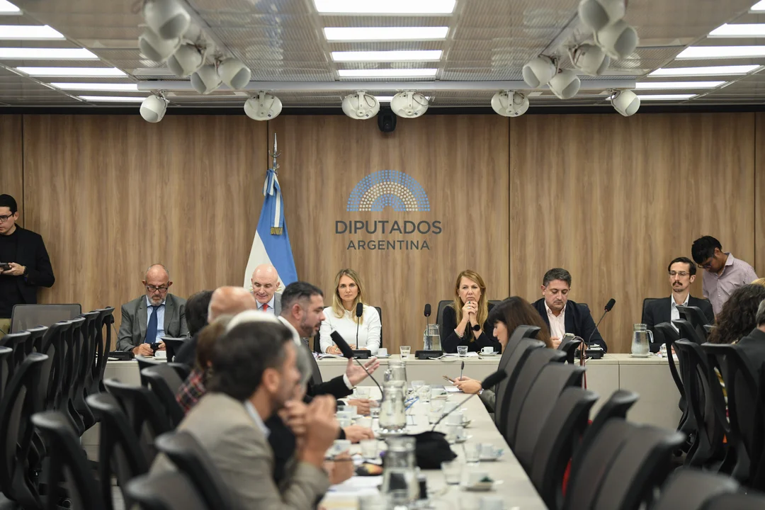 Baja de la edad de imputabilidad: tiene dictamen la modificación al Régimen Penal Juvenil
