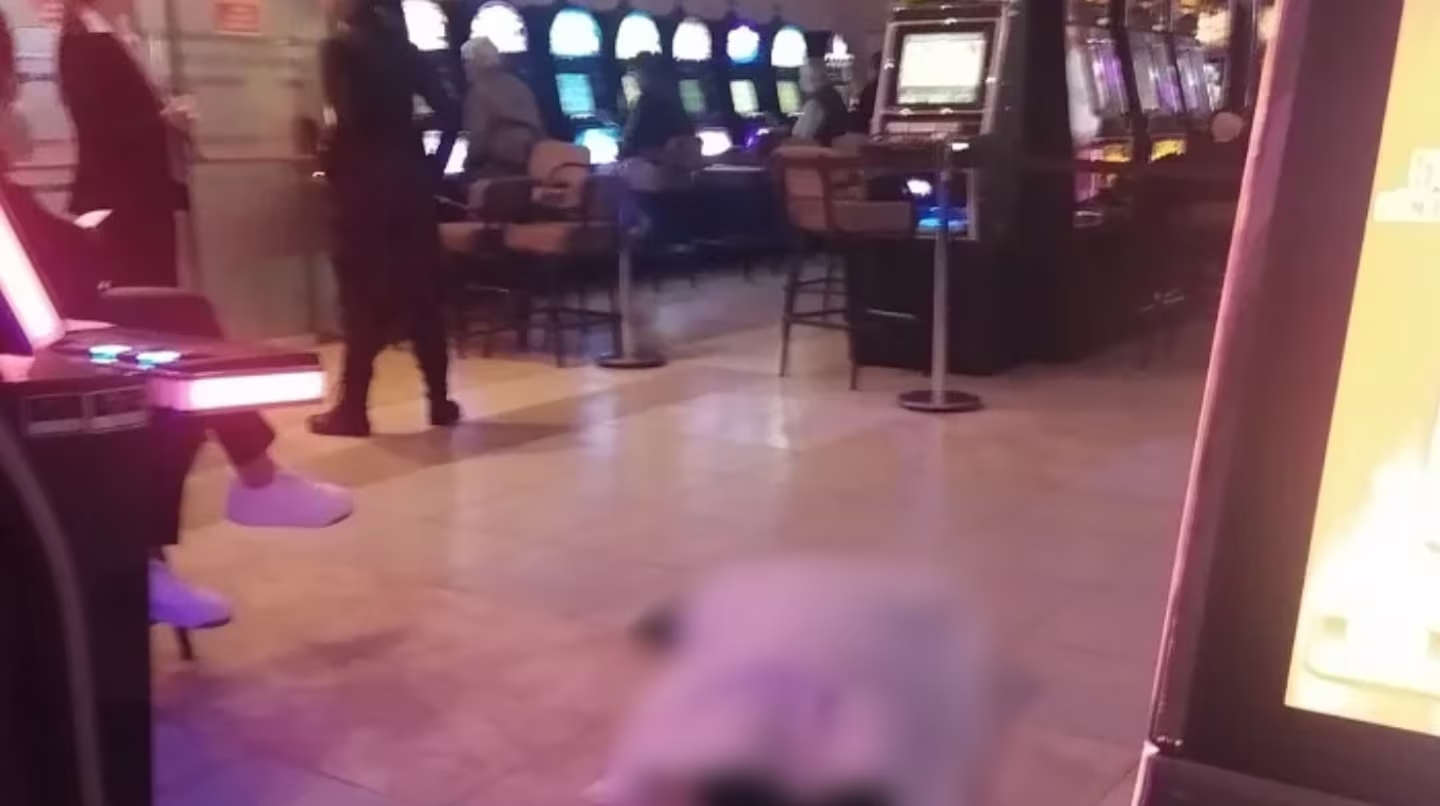 Indignación en Mar del Plata: una mujer murió en un bingo y los jugadores siguieron apostando junto al cuerpo