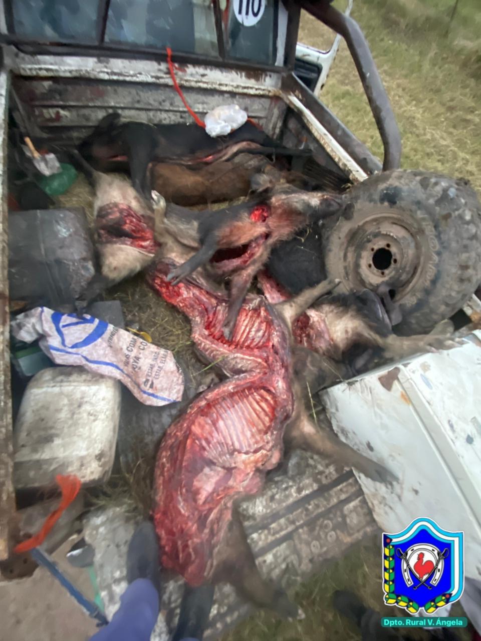 Villa Ángela: secuestran más de 200 kilos de carne de caza ilegal y armas blancas