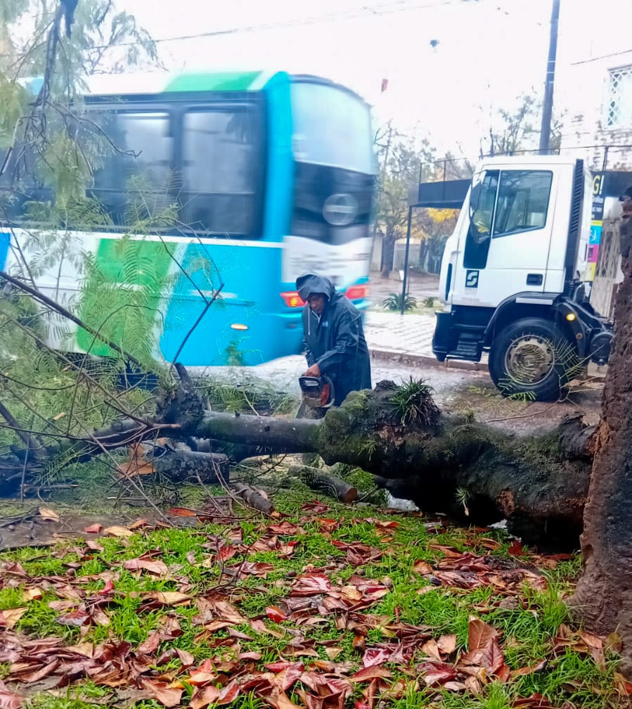 Cuadrillas comunales trabajaron durante el temporal y se mantiene el alerta en Resistencia