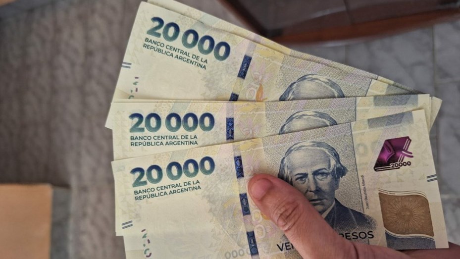 «Argentum»: presentaron un proyecto de ley para cambiar la moneda y sacarle varios ceros