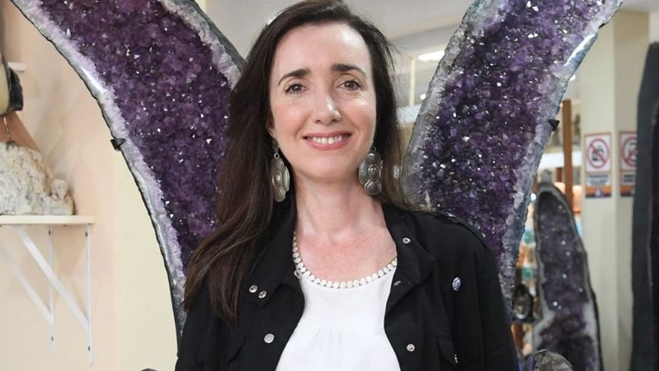 Un libro sobre Victoria Villarruel revela secretos del poder