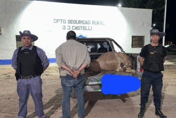 Una persona terminó detenida, se le secuestró una camioneta y un animal sacrificado