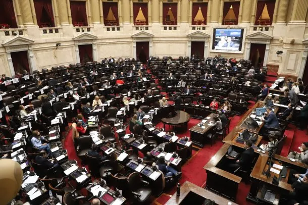 Sesión especial: la oposición busca reabrir la discusión por el Garrahan y las universidad