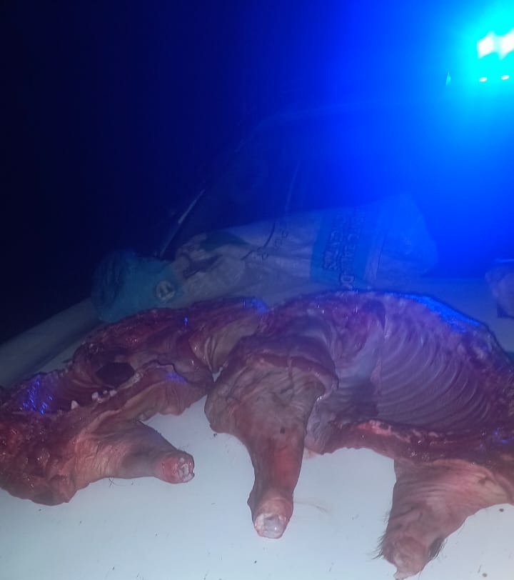 Laguna Limpia: secuestran e incineran carne porcina transportada en motocicleta