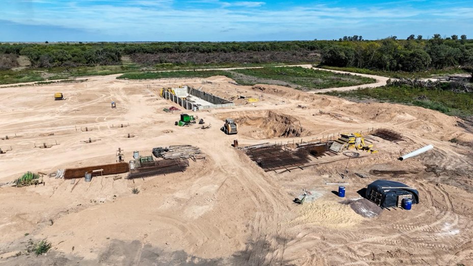 Santa Fe denunció a una empresa que desmontaba un bosque nativo de 50 hectáreas