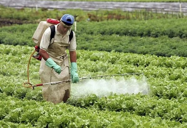 El Gobierno recuerda que está prohibido aplicar herbicidas hormonales en Chaco, desde el 1 de agosto al 31 de marzo