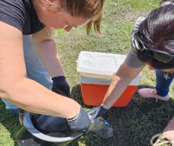 Río Negro: la APA analiza muestras del curso de agua tras la aparición de peces muertos