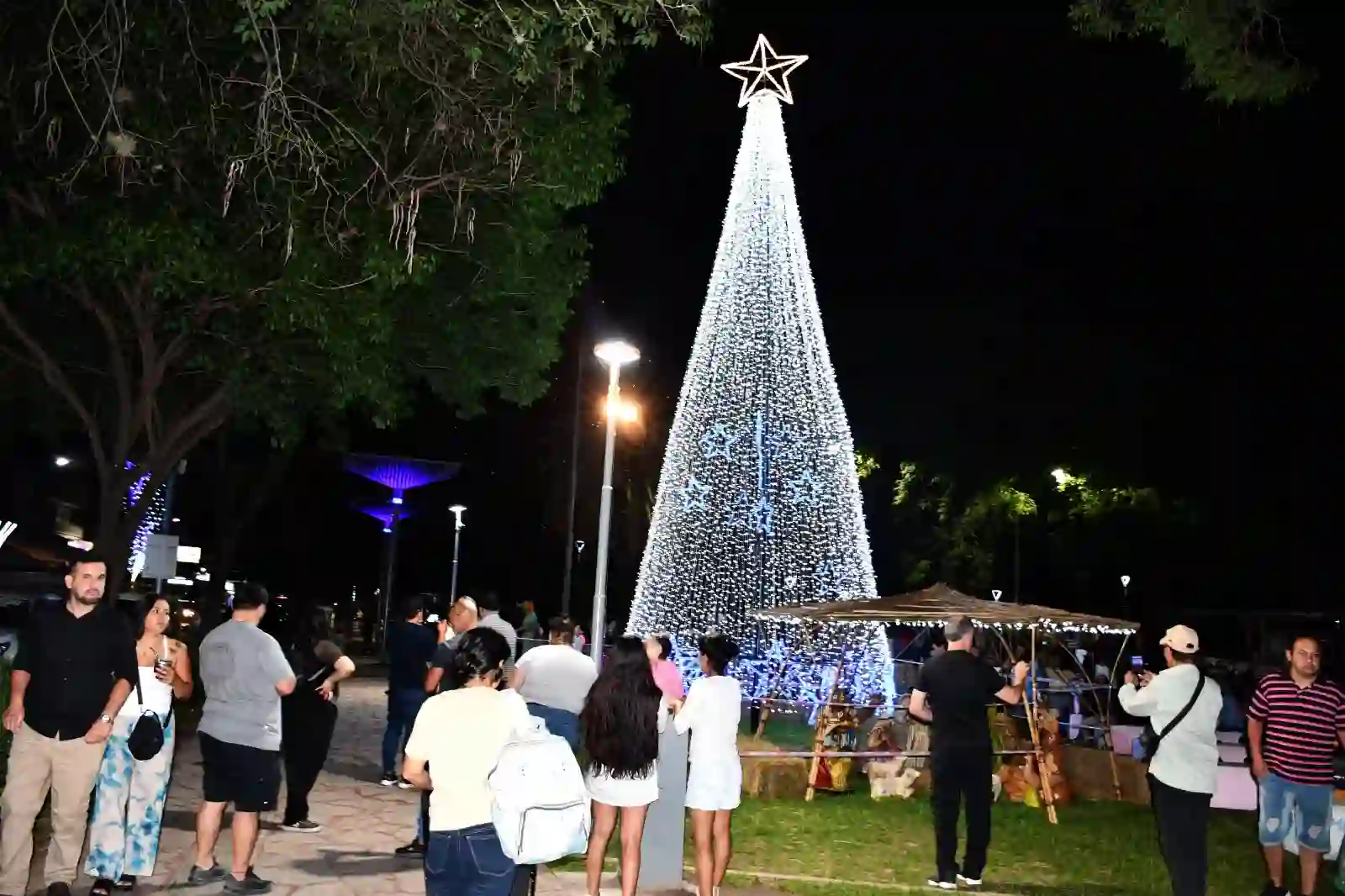 Árbol navideño en la plaza central: encendido e invitación a actividades para toda la familia
